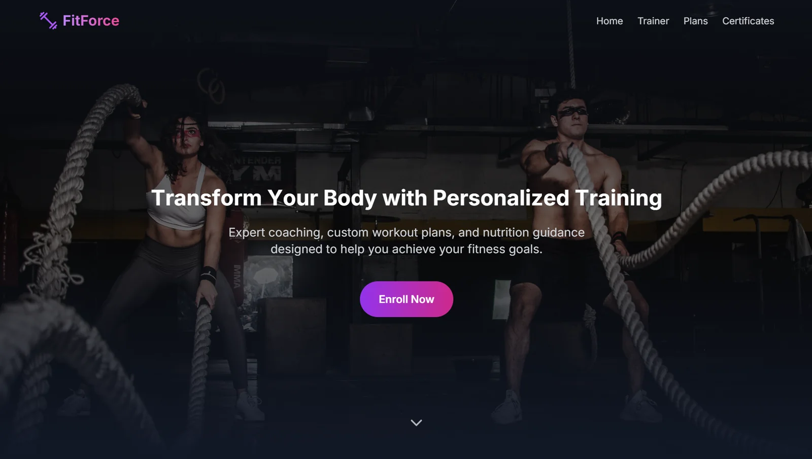 FitForce Screenshot Preview